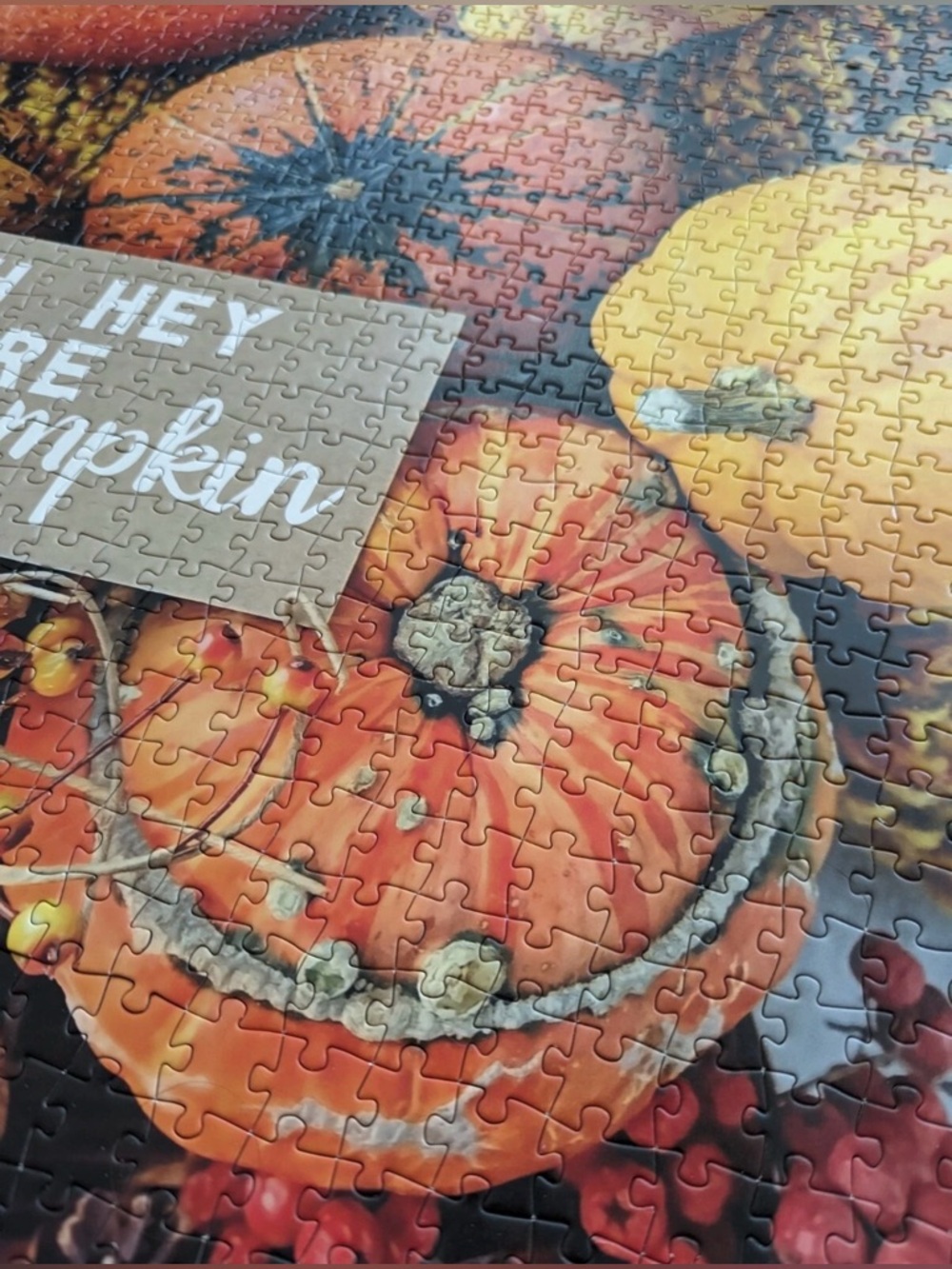 Oh Hey There Pumpkin Puzzle 1000 Pc 29.5 x 19.5" Perfectly Puzzling Autumn Fall - Picture 5 of 5